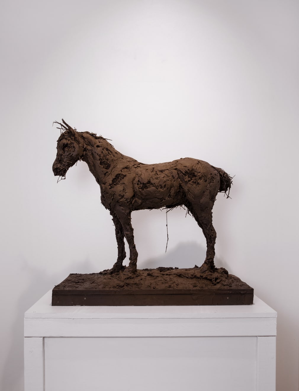 Nicola Hicks, Brown Horse, 2023