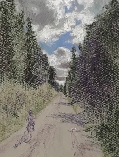 Susanne Johansson, Summer Shadows, 2020