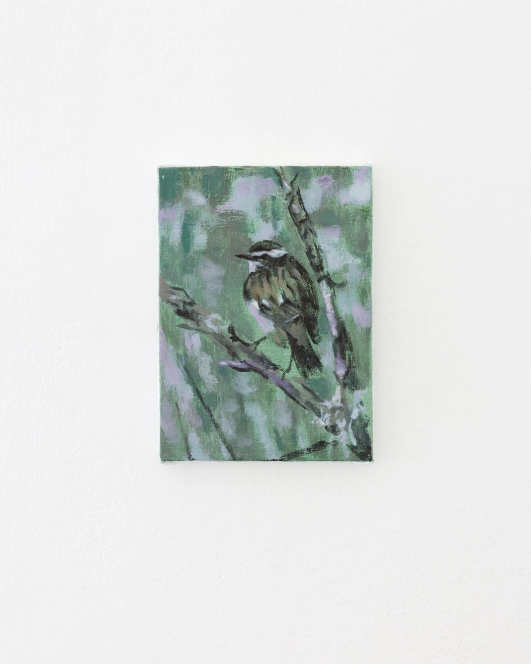 Susanne Johansson, Buskskvättan / Whinchat, 2023