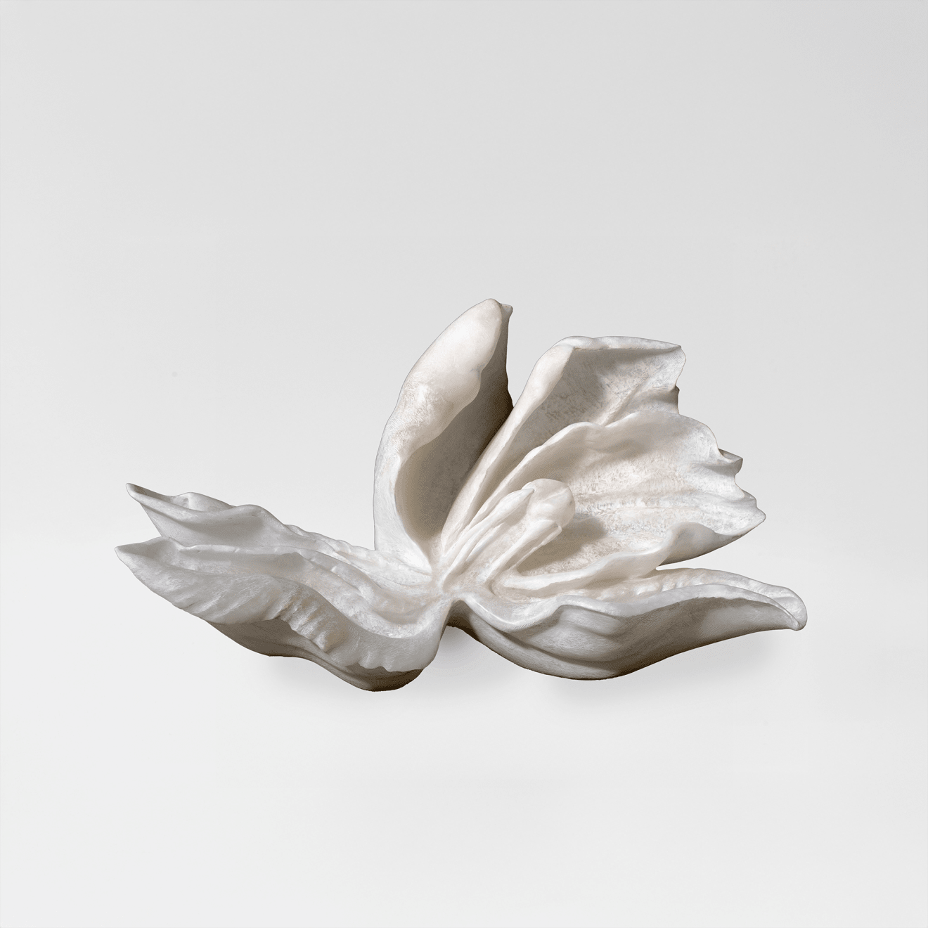 BibiMichèle, Permanent Transience, 2023