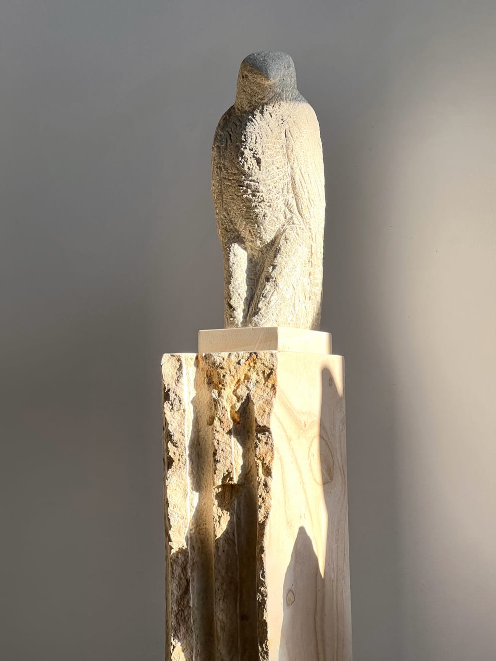 Jane Rosen, Red Shouldered Hawk on Beaumanière, 2024