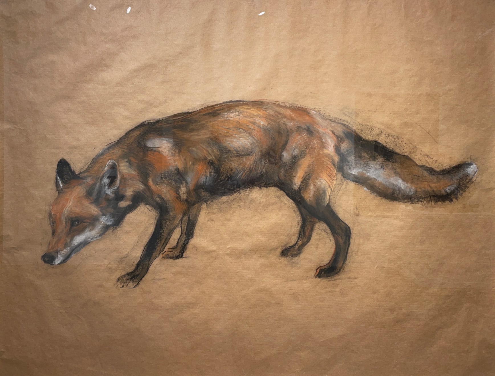 Nicola Hicks, Fox, 2019