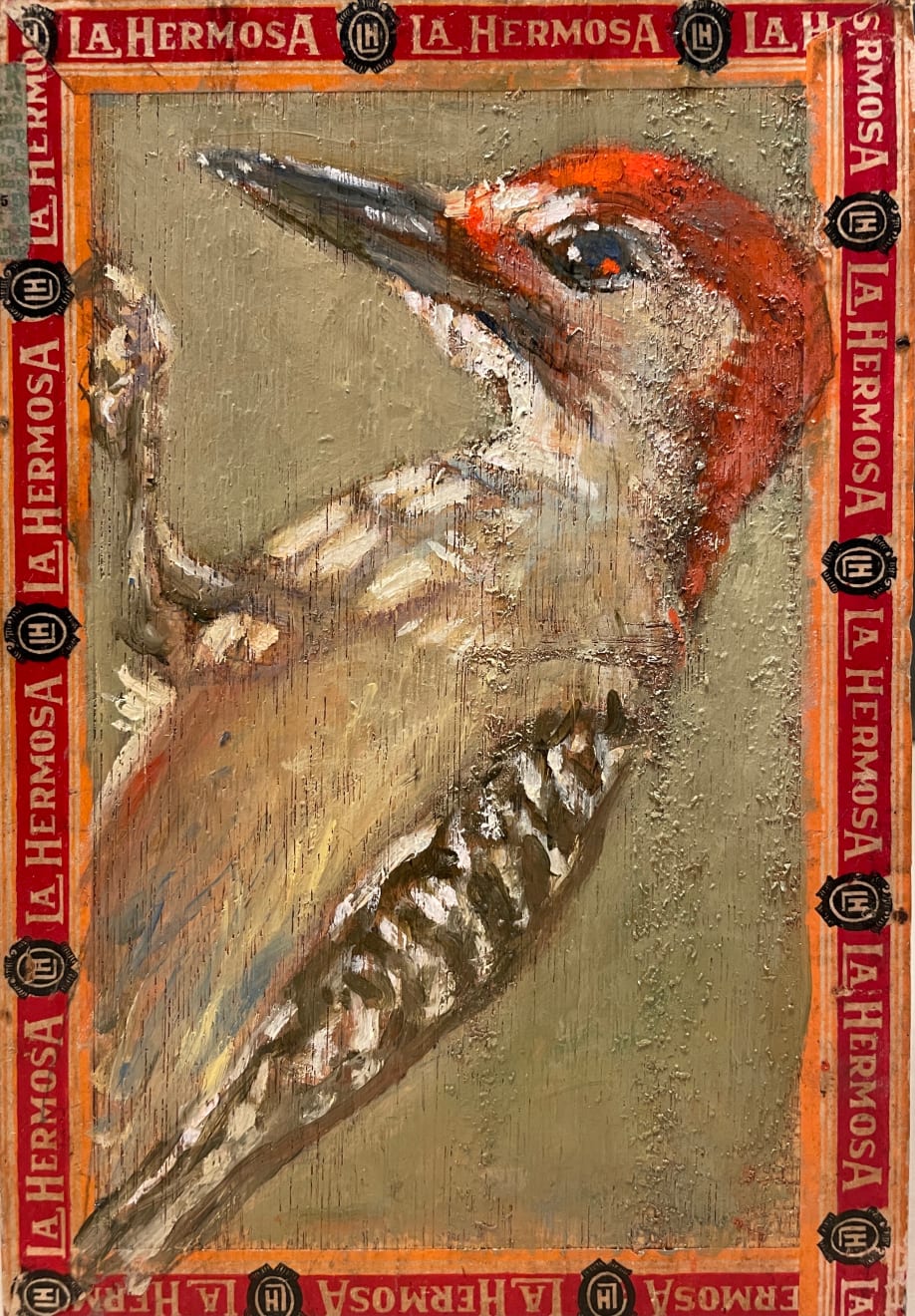 Ed Musante, Red Bellied Woodpecker/La Hermosa, 2021