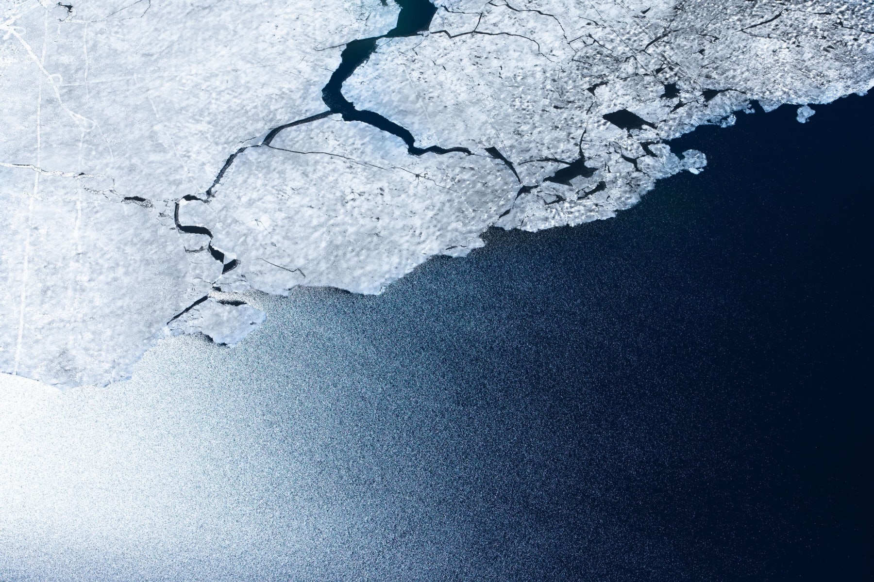 Tuck Fauntleroy, Elements Spring II, 2023-2024