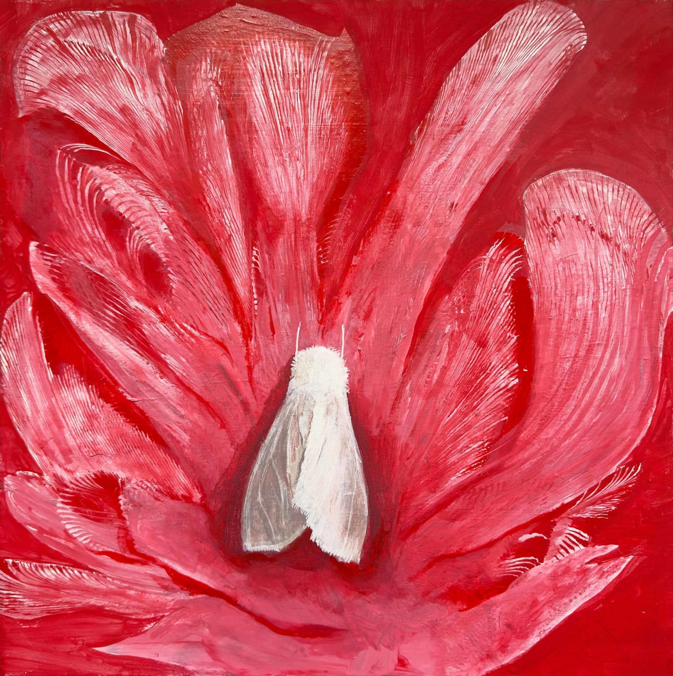 Nancy Diamond, White Moth, 2022