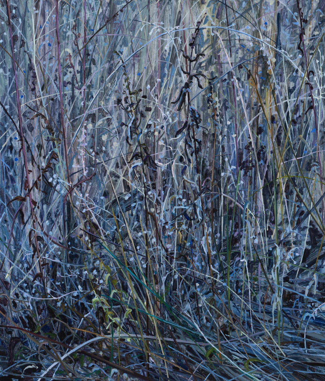 Claire Sherman, Wildflowers, 2024