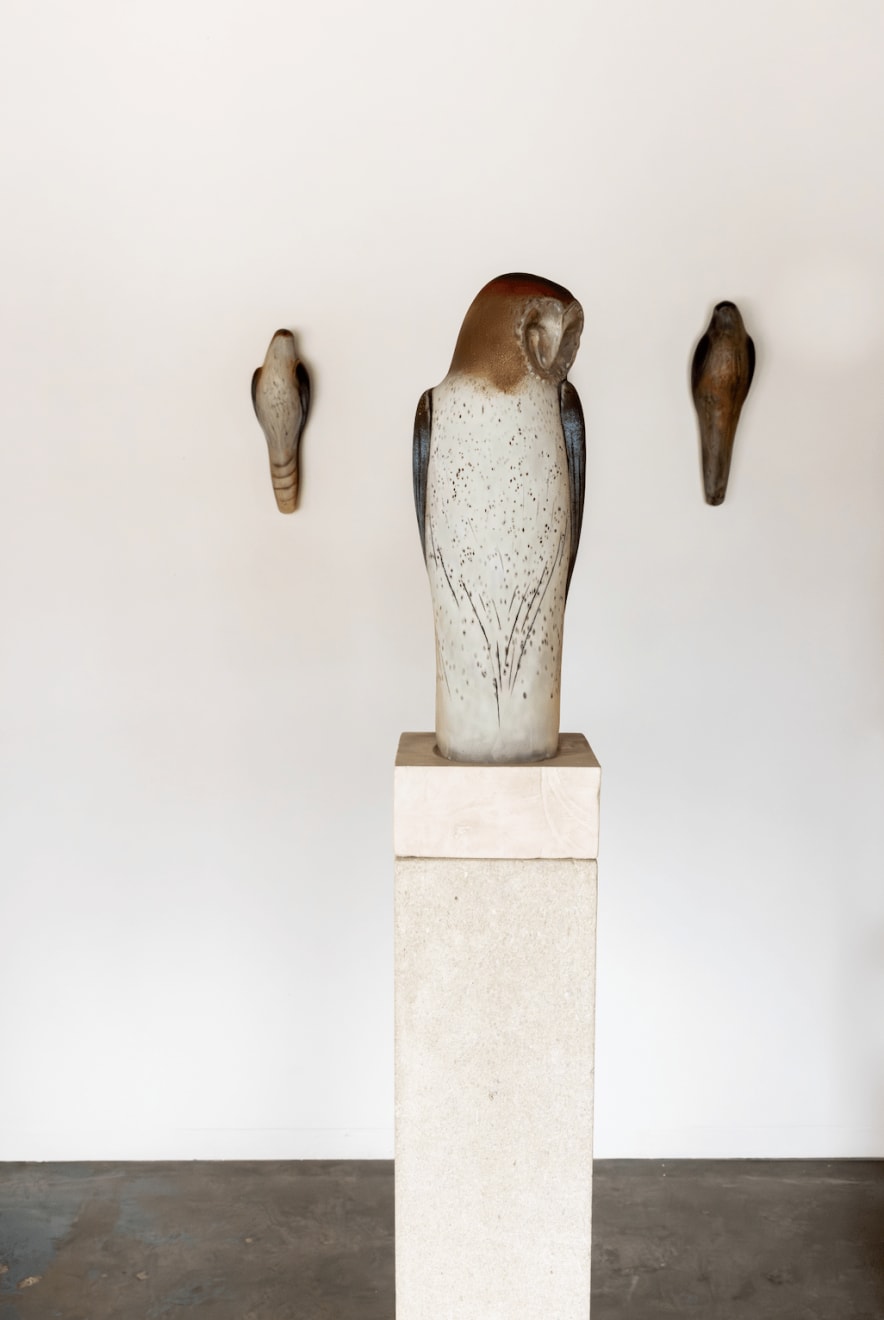 Jane Rosen, East Coast Owl, 2025