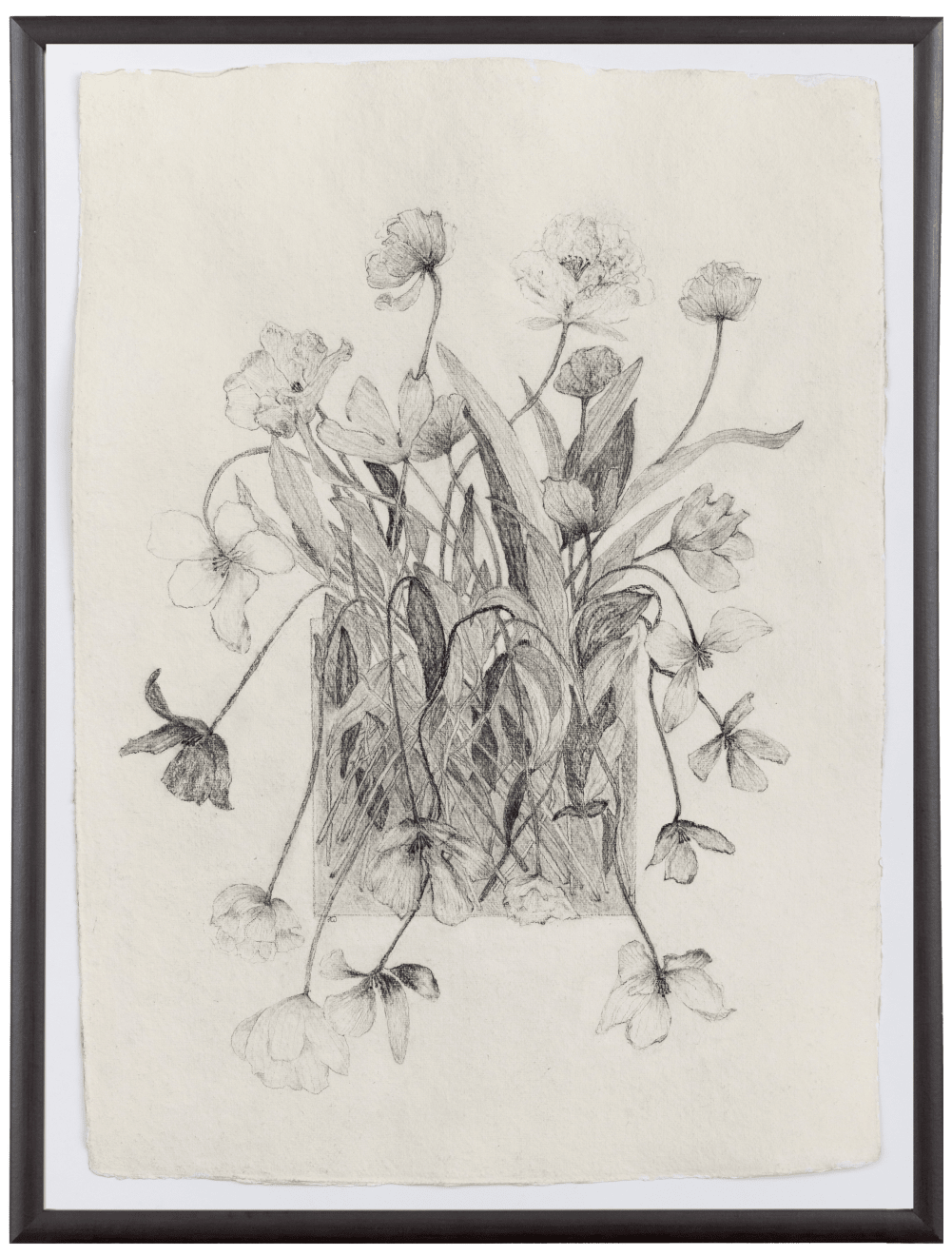 Fiona Waterstreet, Untitled, 2025