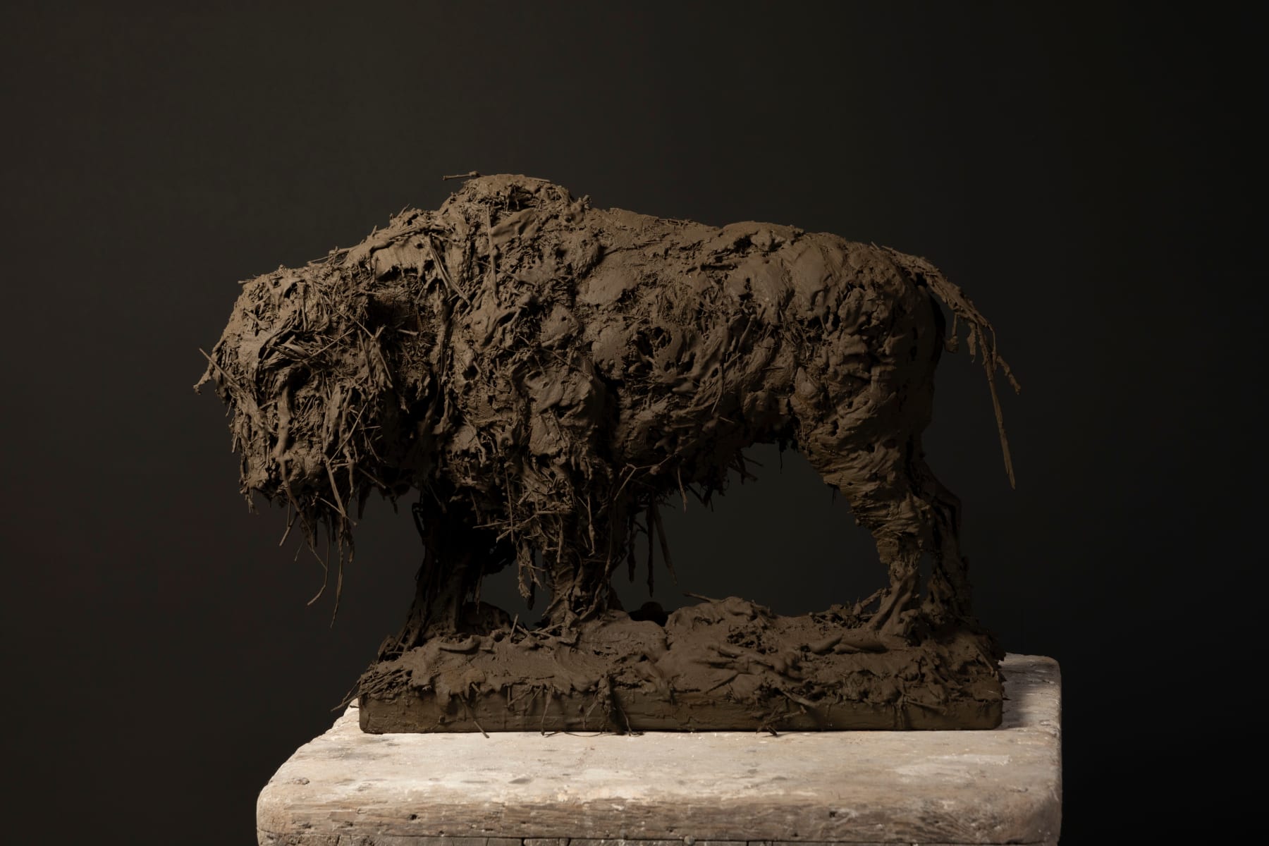 Nicola Hicks, Bison, 2023