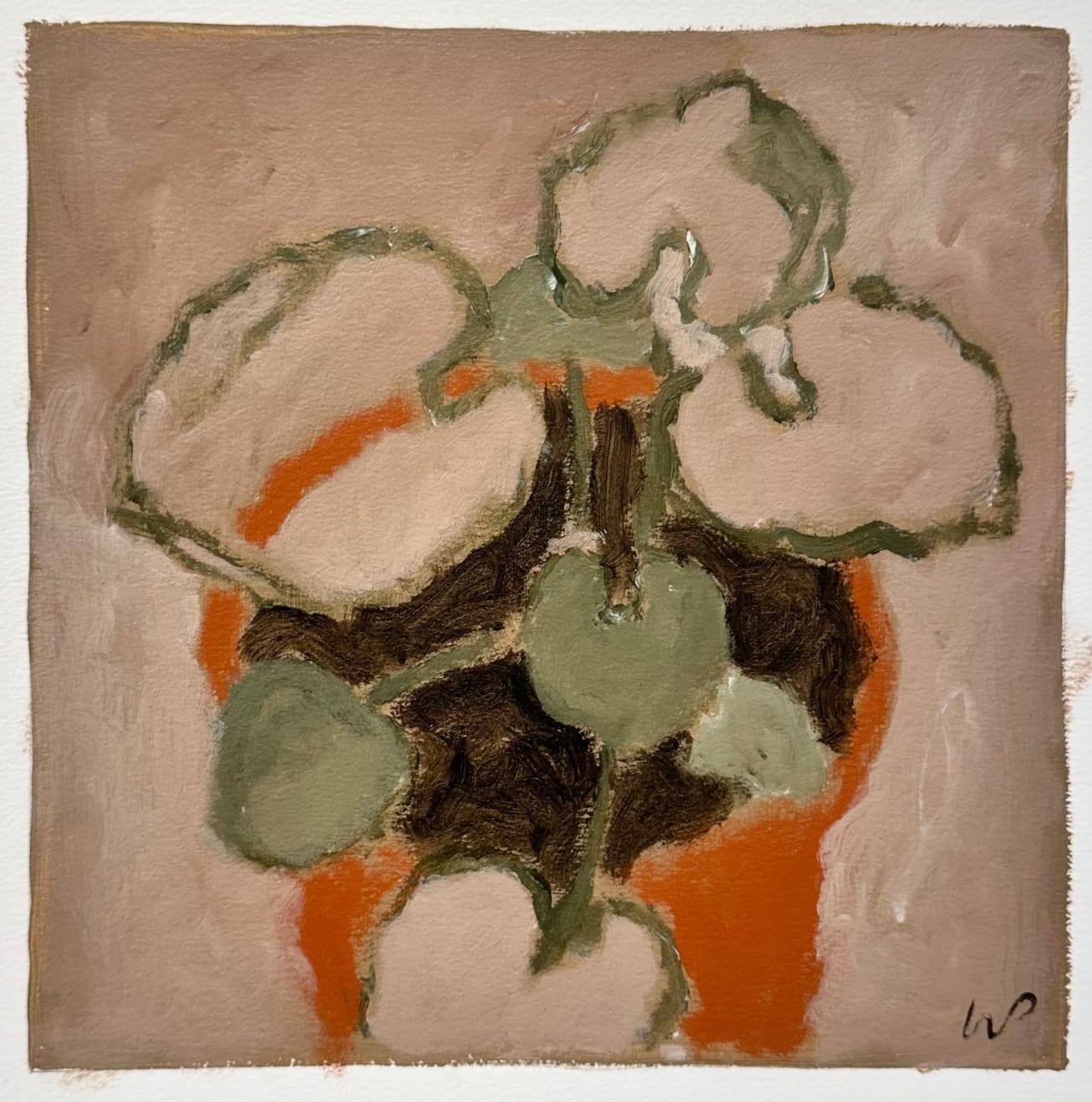 Wayne Pate, Leopard Plant in Terracotta Pot, 2022