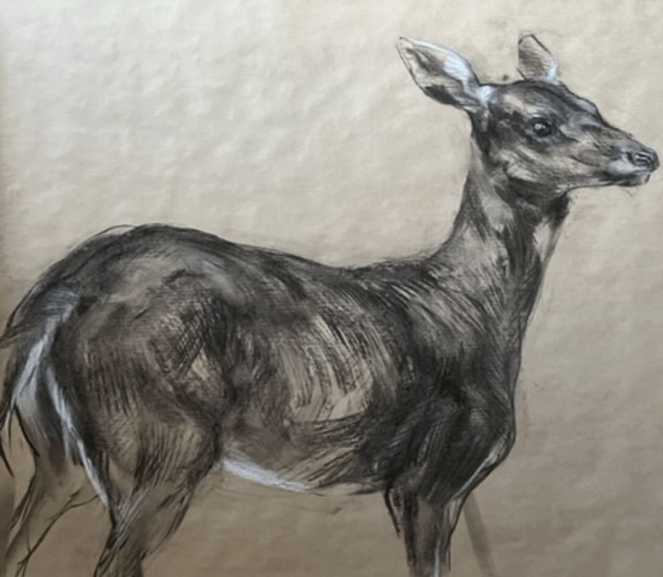 Nicola Hicks, Deer, 2022