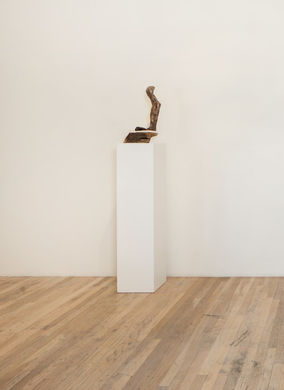 Kaidi Dunstan, Untitled, 2023