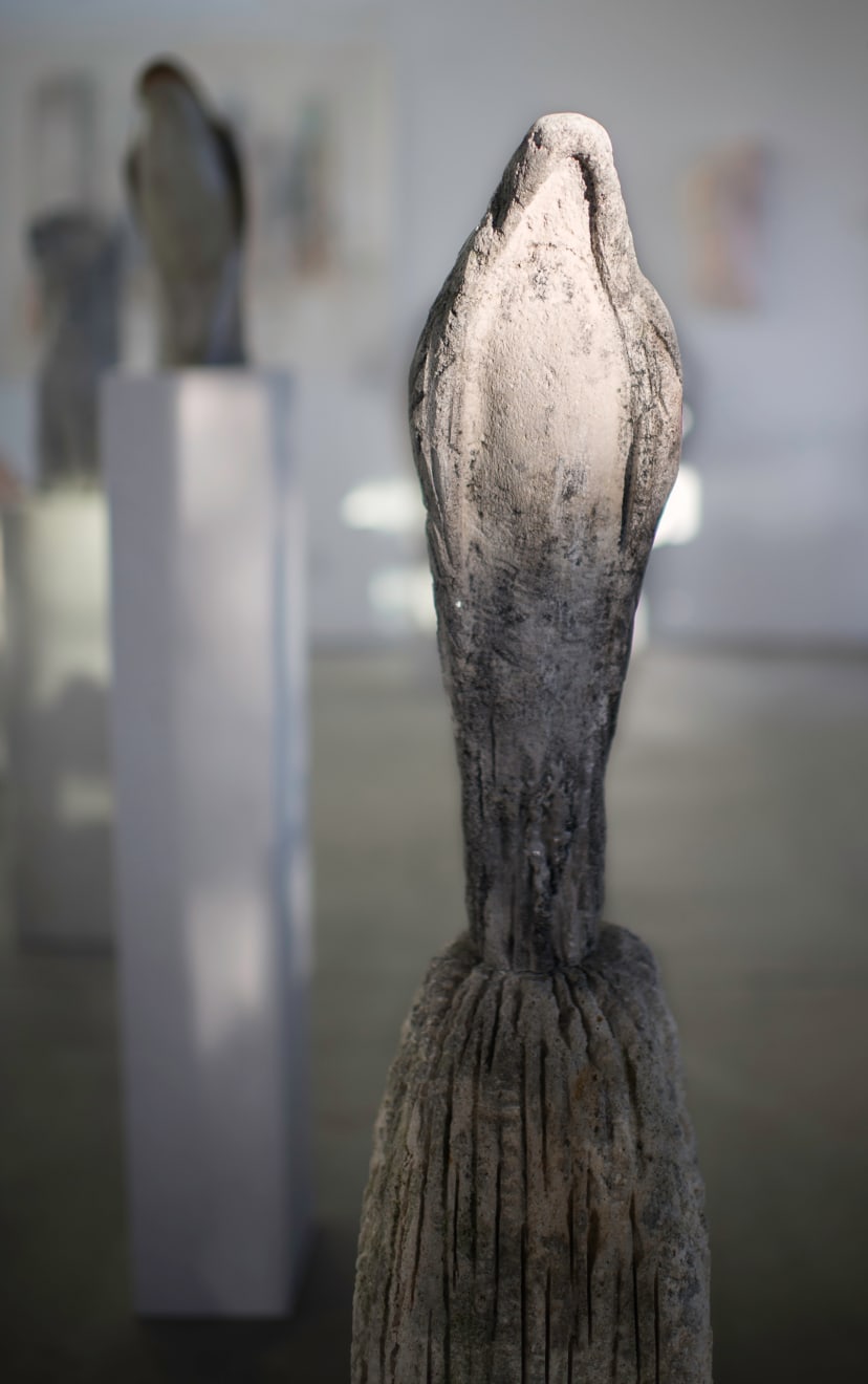 Jane Rosen, Birdman, 2011-2018