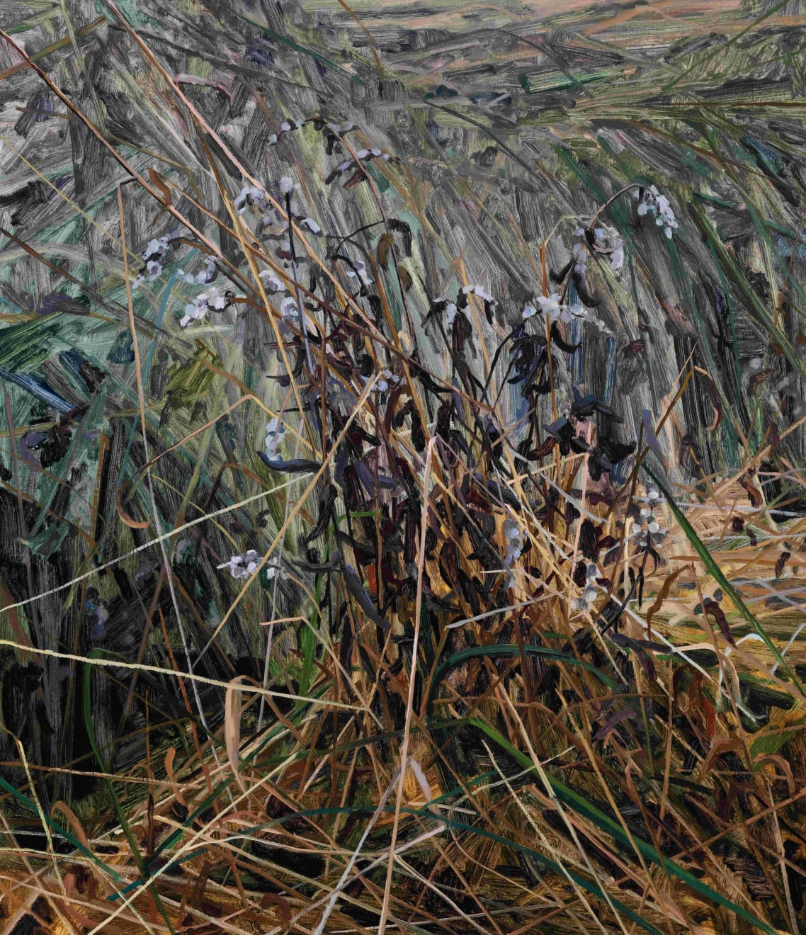 Claire Sherman, Wildflowers, 2024