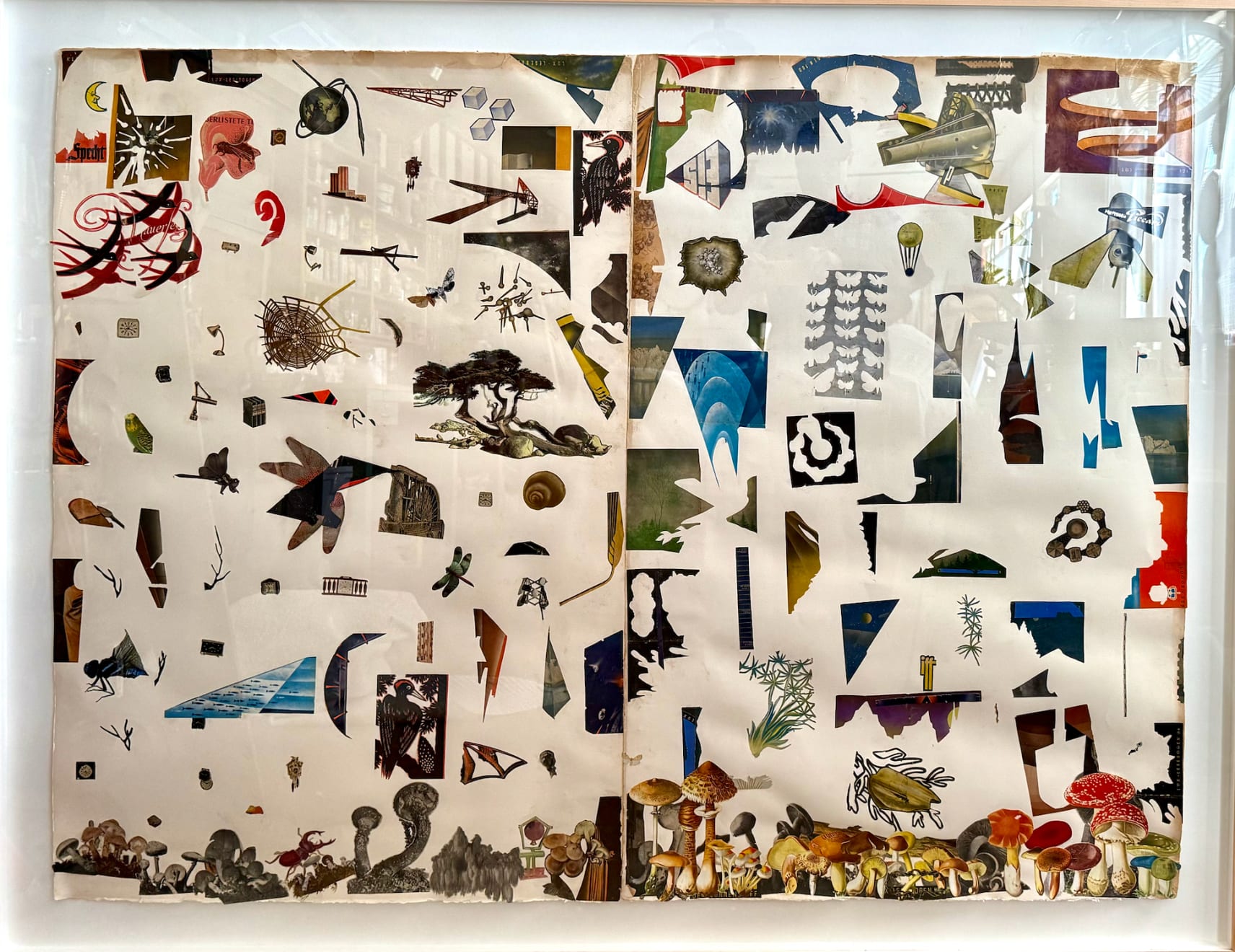 Lance Letscher, Chief, 2024