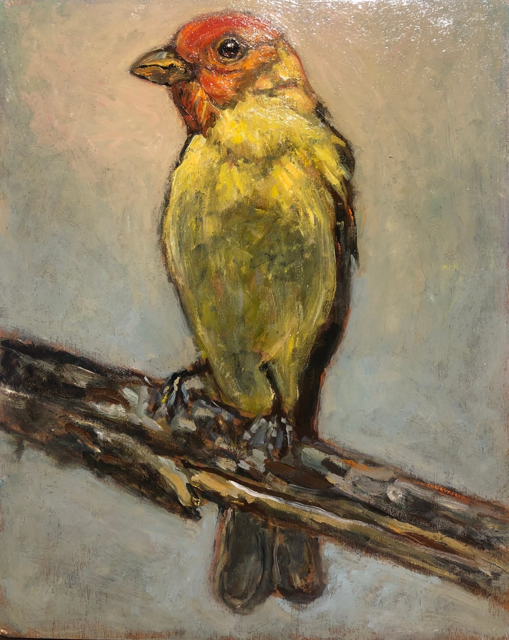 Ed Musante, Western Tanager II, 2021