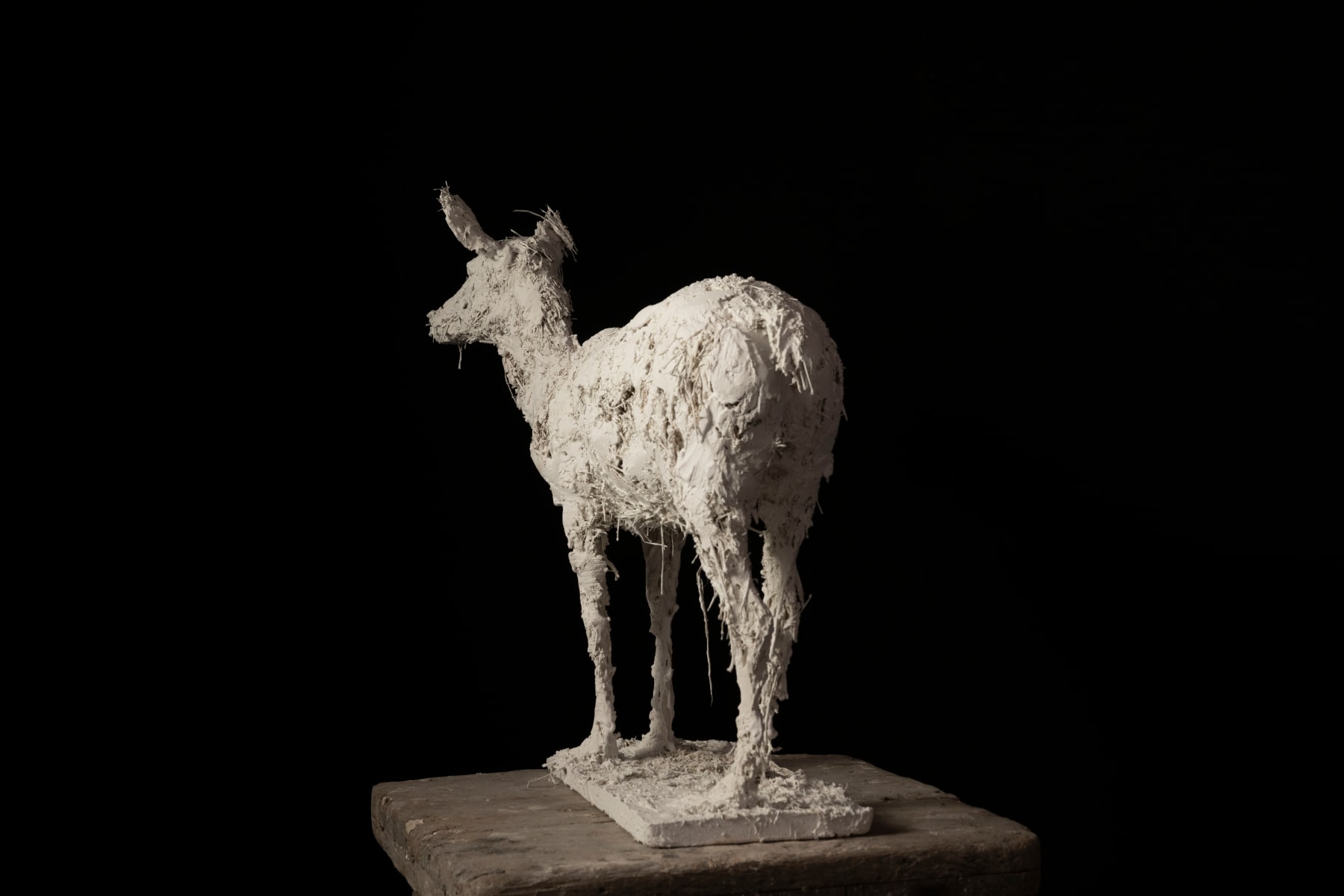 Nicola Hicks, Little Dear, 2023