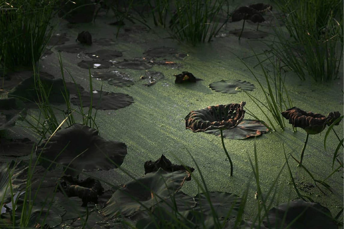 Tomohiro Muda, Mizu 17, edition 5/25, 2007