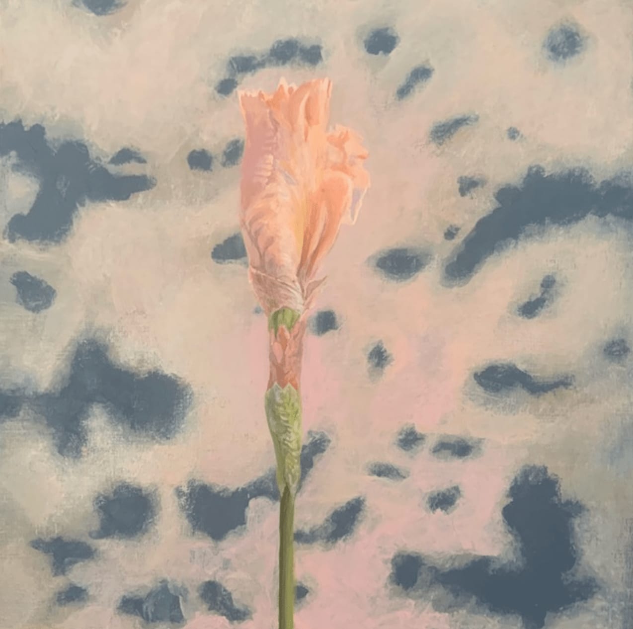 Nancy Diamond, Closed Iris, 2022