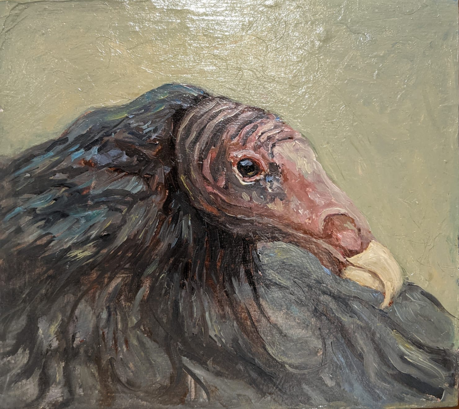 Ed Musante, Turkey Vulture, 2021