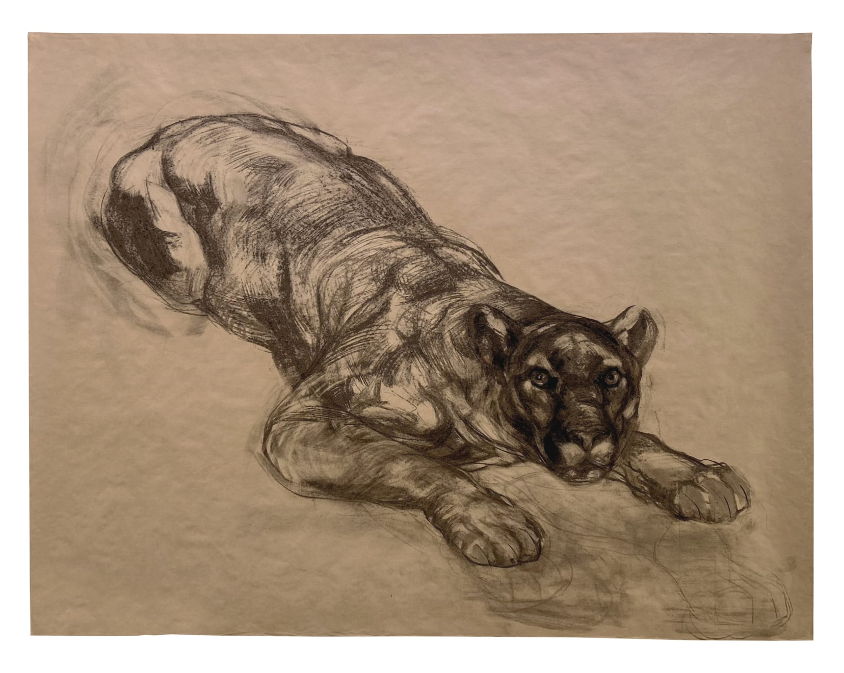 Nicola Hicks, Mountain Lion, 2023