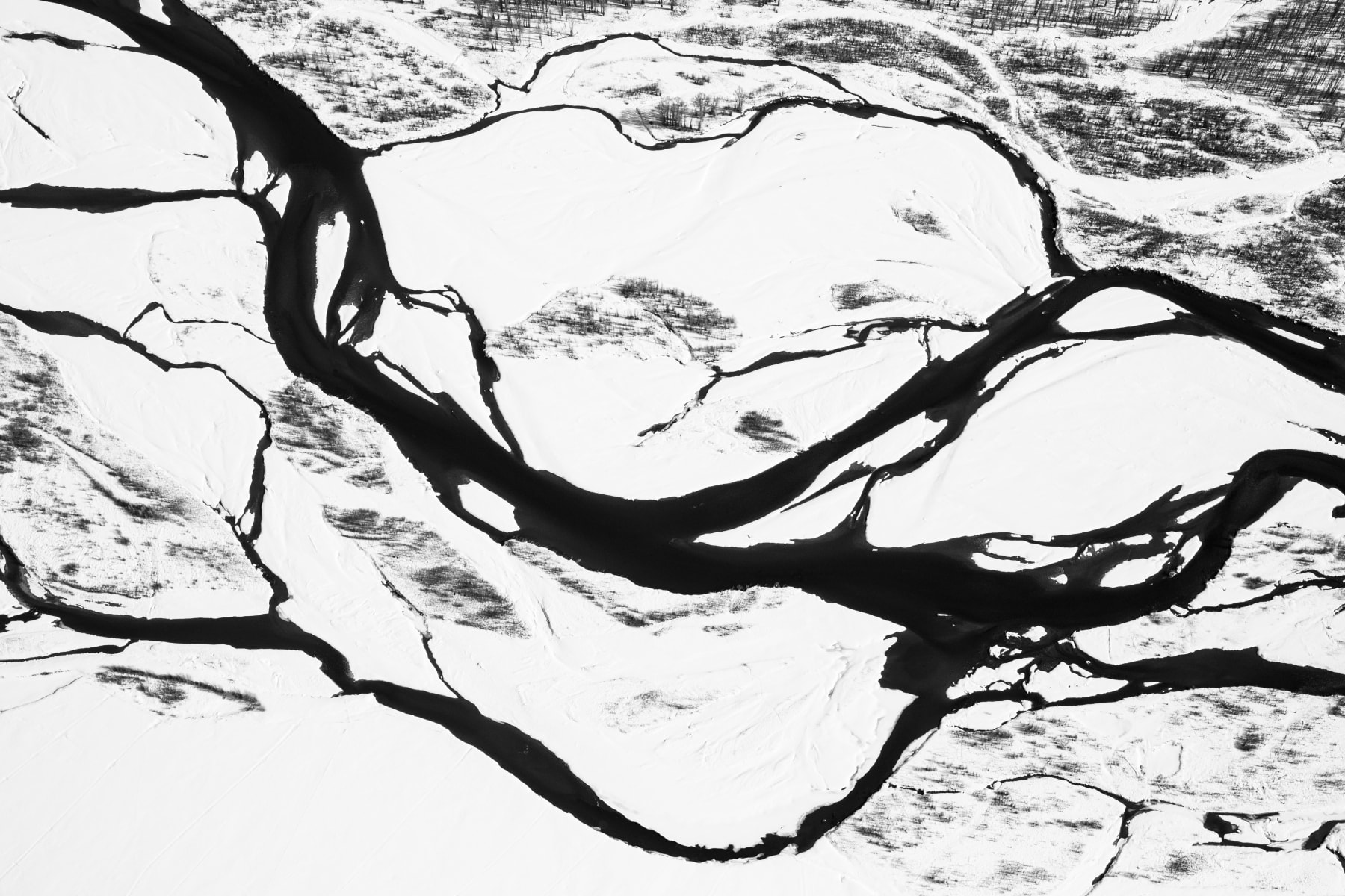 Tuck Fauntleroy, Snake River III, 2019