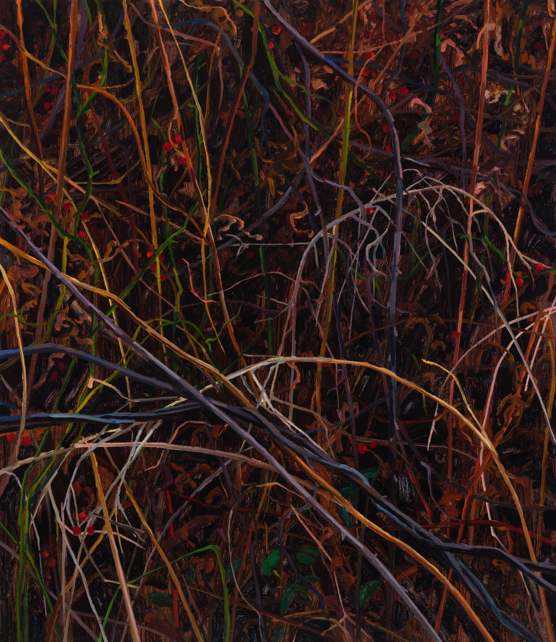 Claire Sherman, Vines, 2024