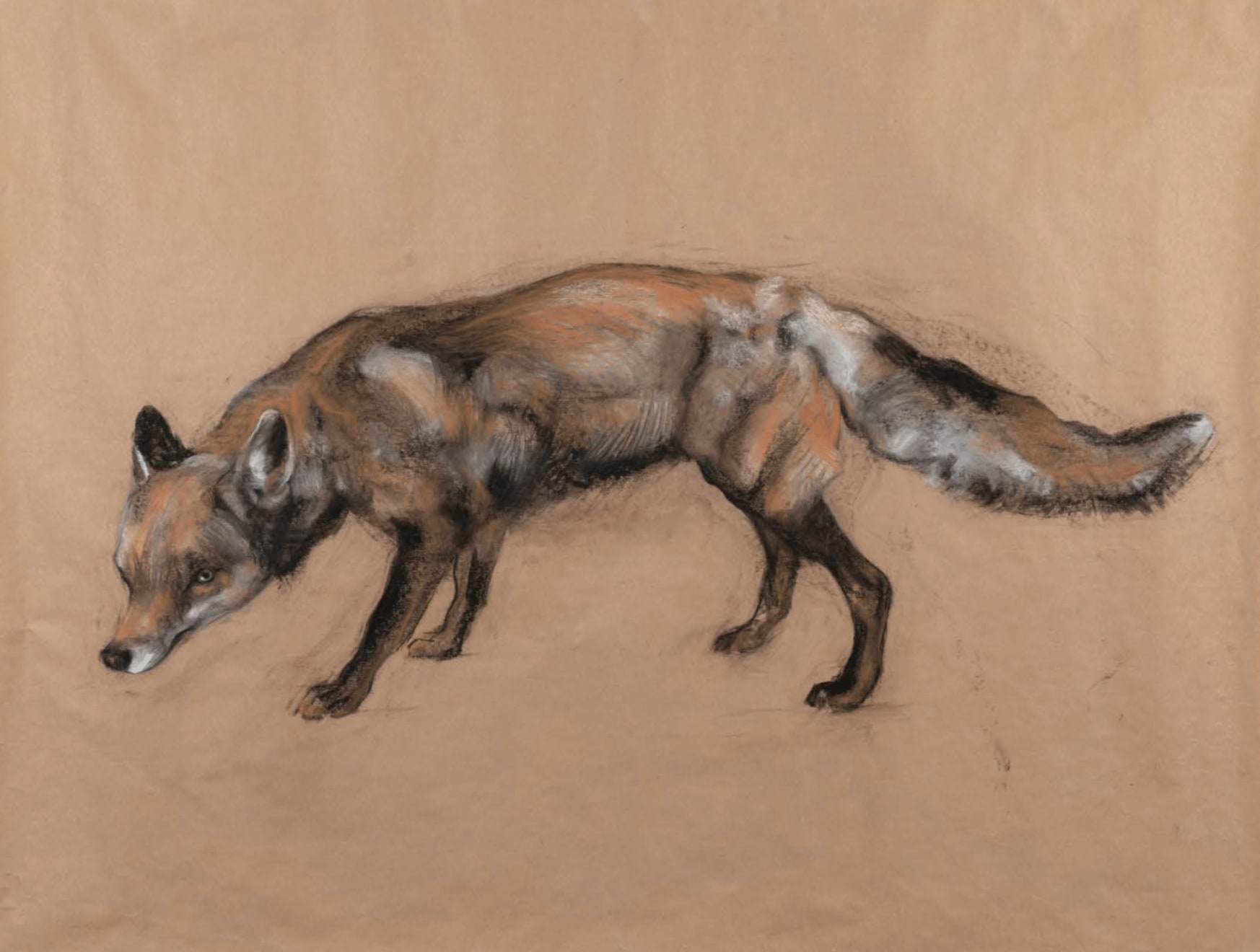 Nicola Hicks, Fox, 2019