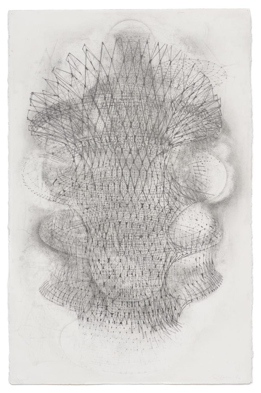 Stephen Talasnik, Design for Collapsible City, from the Anatomical Series, 2008