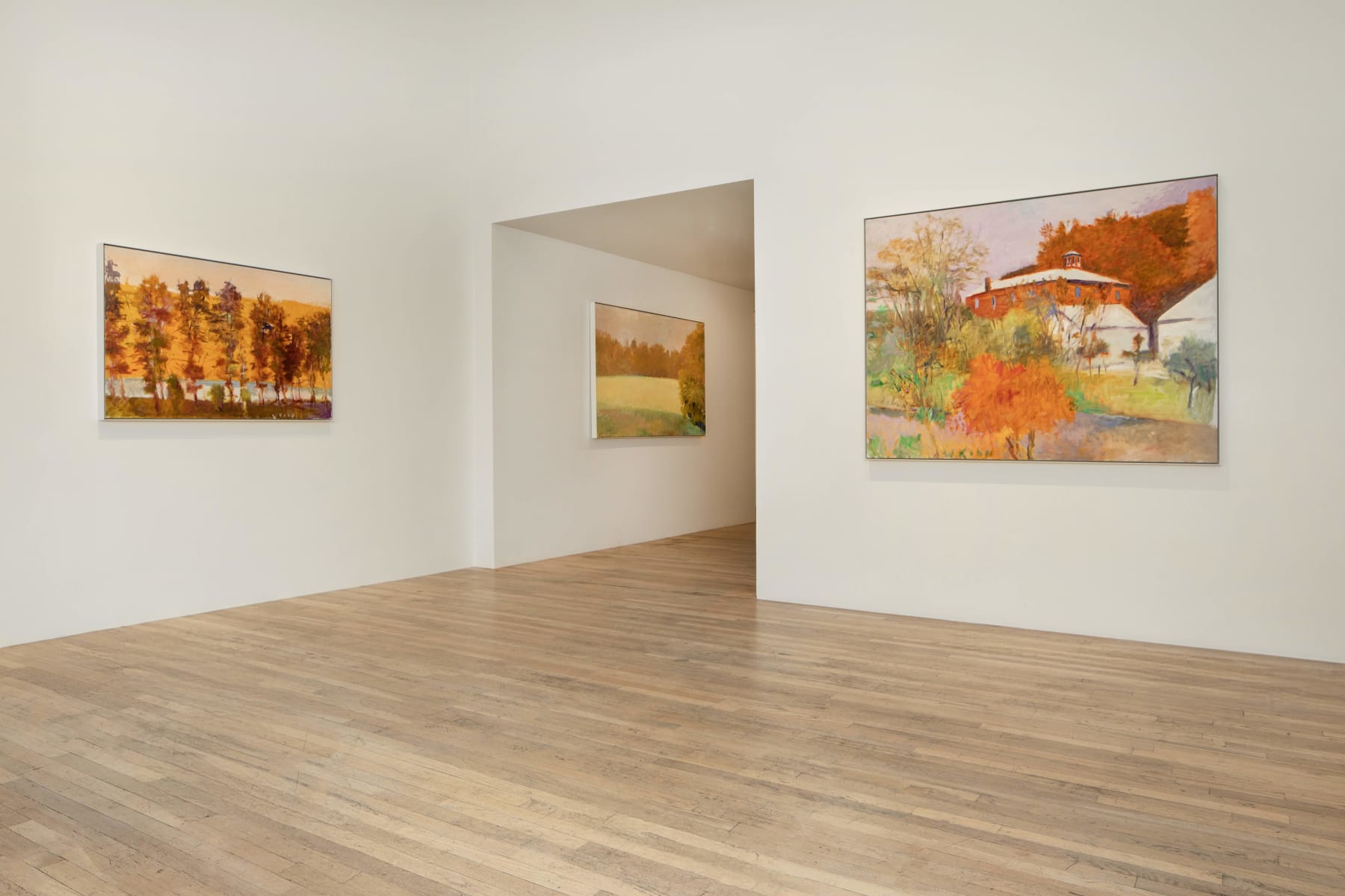 Wolf Kahn, Meadow Bordered by a Brook, 1984