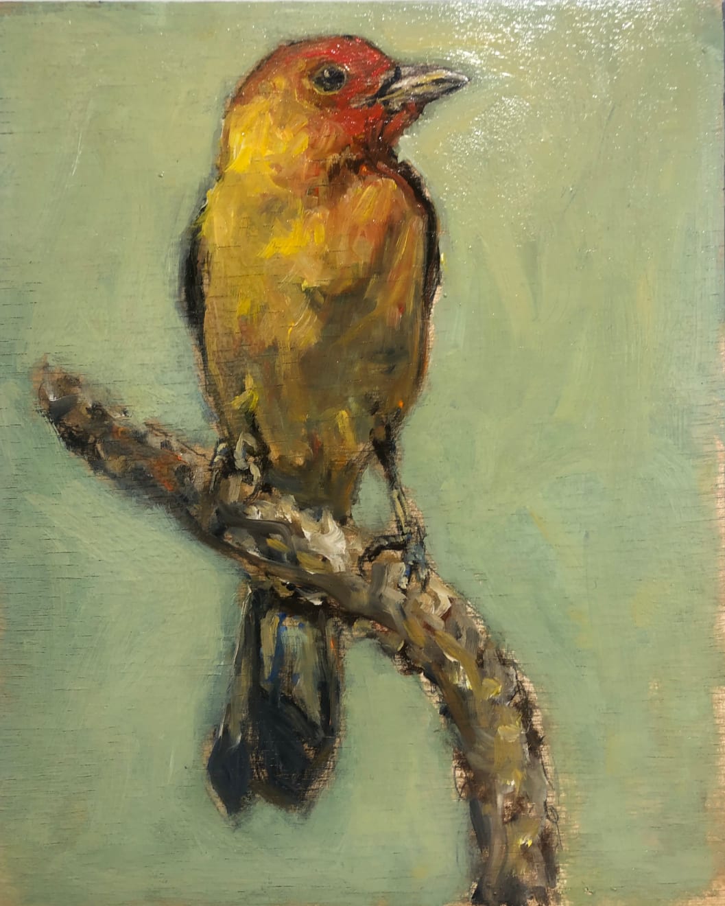 Ed Musante, Western Tanager I, 2021