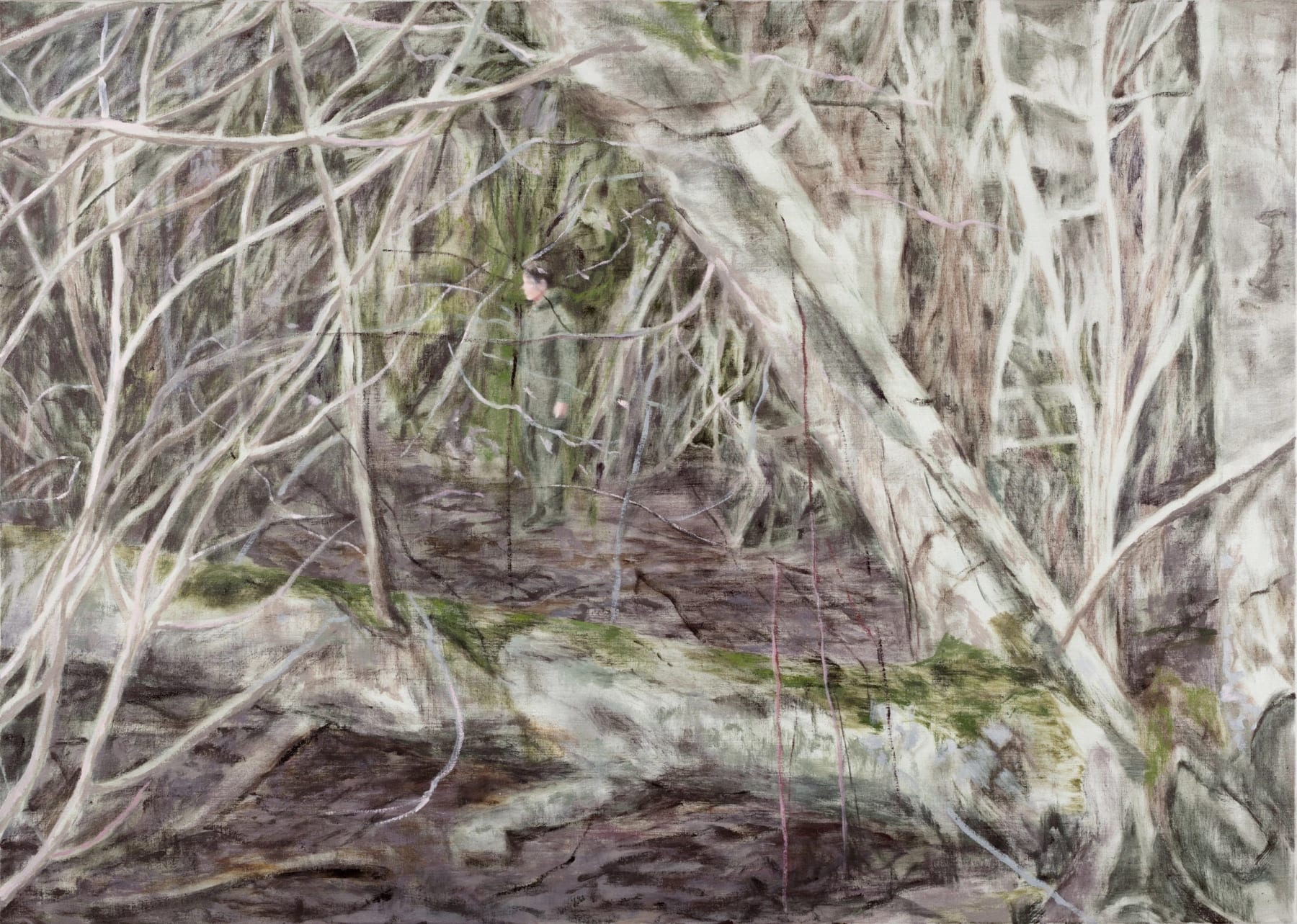 Susanne Johansson, Överträdelser / Trespasses, 2018
