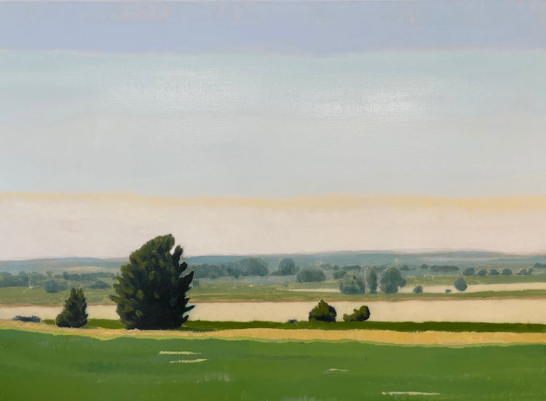 Mike Piggott, Green, White and Yellow, 2011