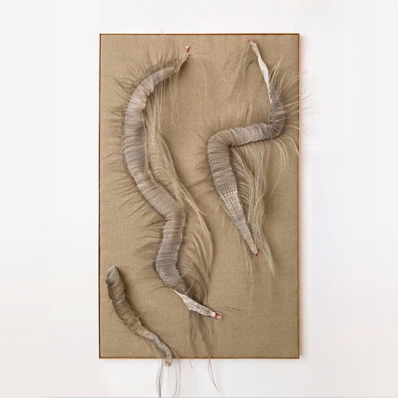 Marianne Kemp, Clarity #2, 2023