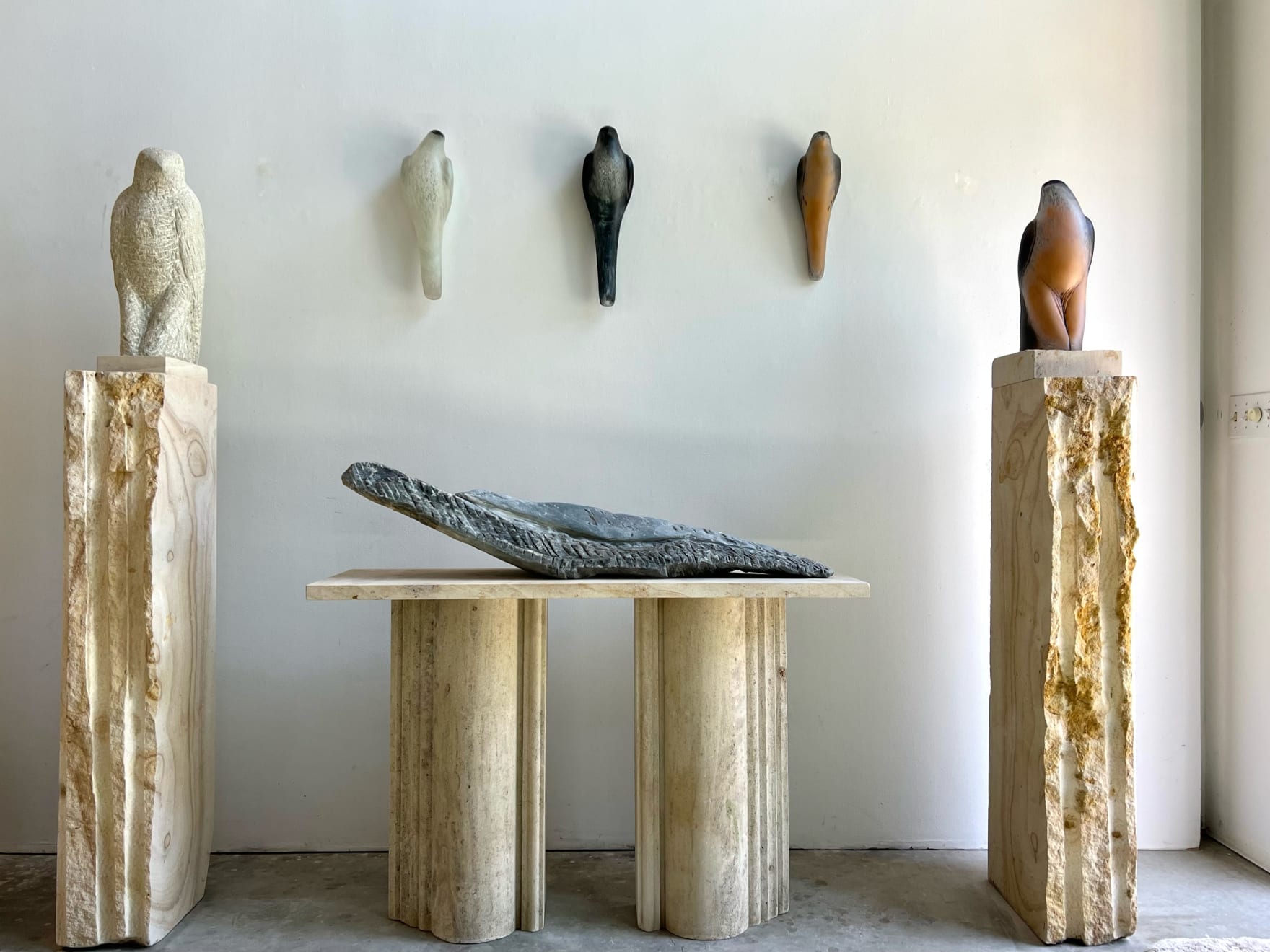 Jane Rosen, Sahara Falcon, 2024