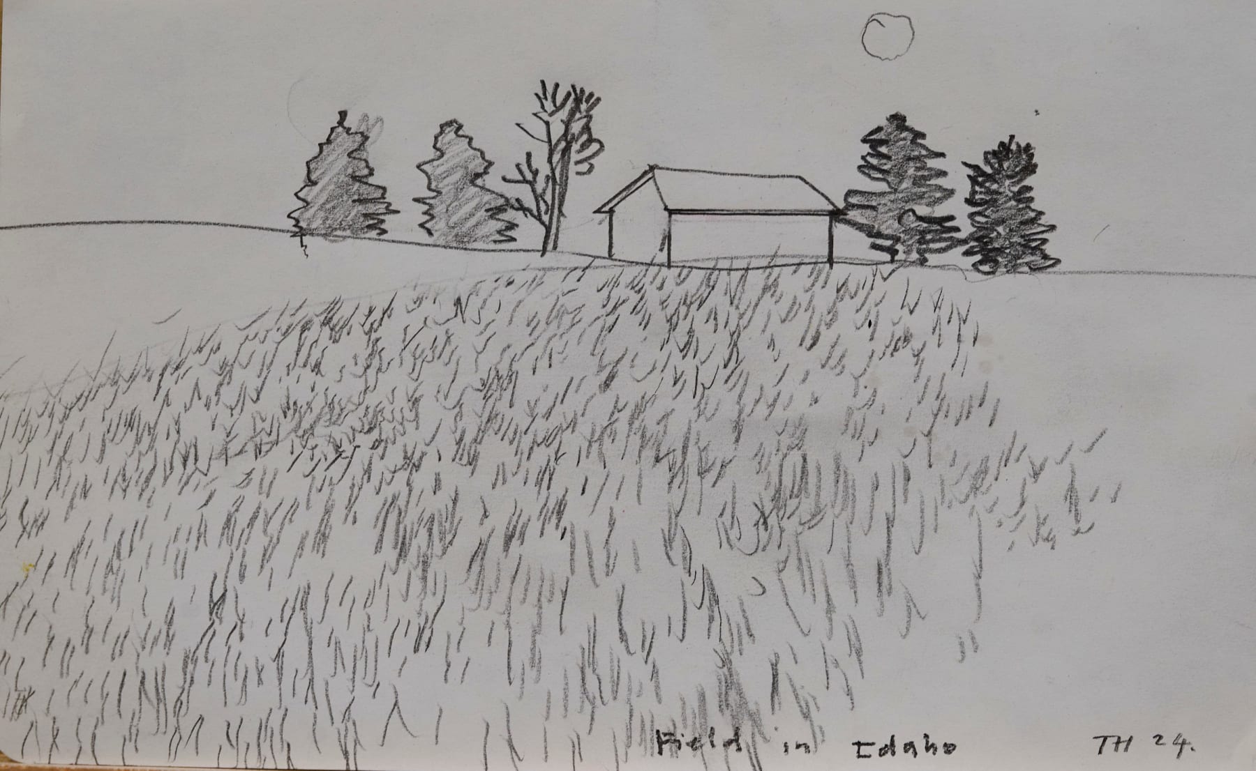 Tom Hammick, Field in Idaho, 2024