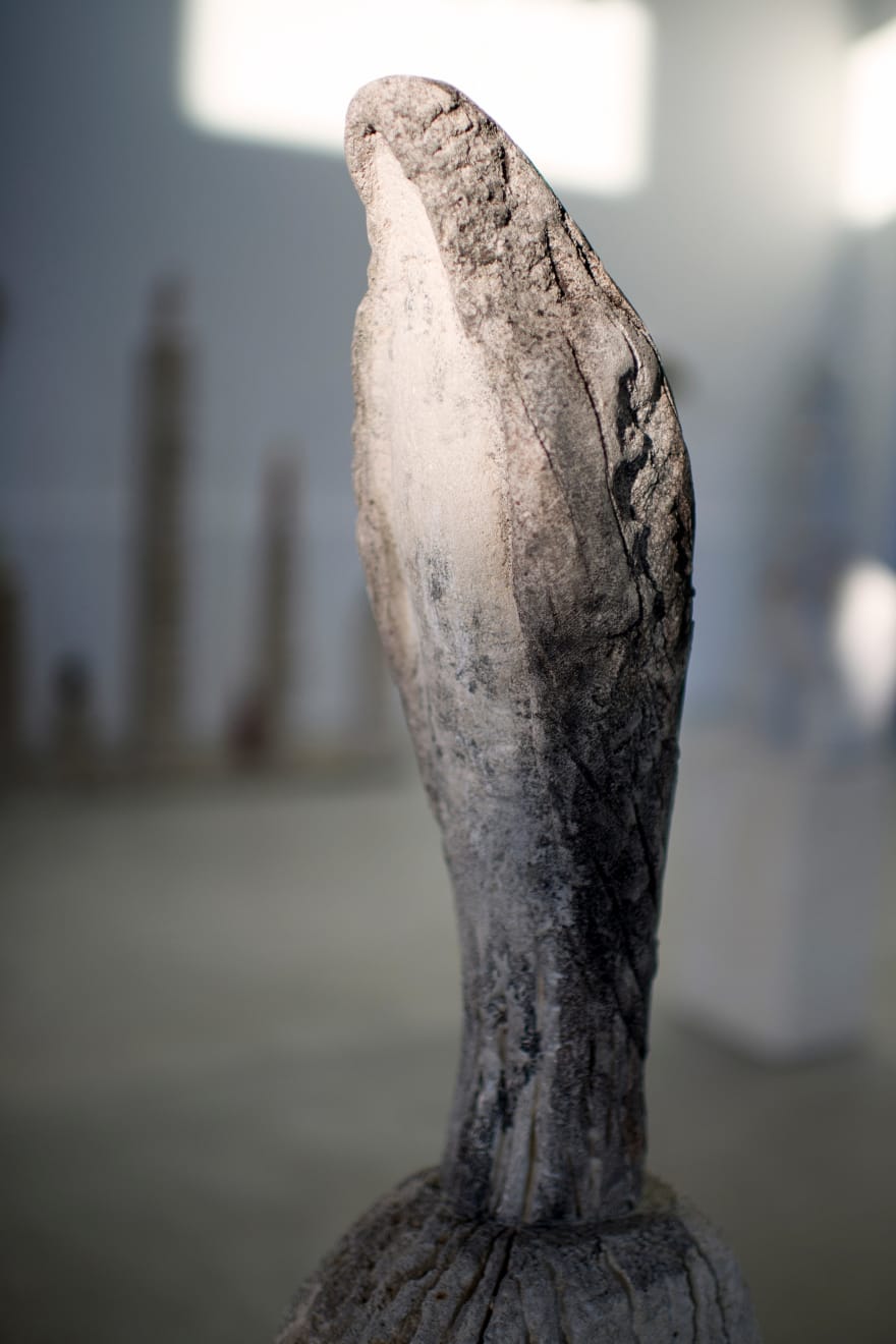 Jane Rosen, Birdman, 2011-2018