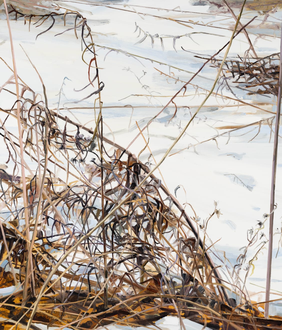 Claire Sherman, Snow and Grass, 2024