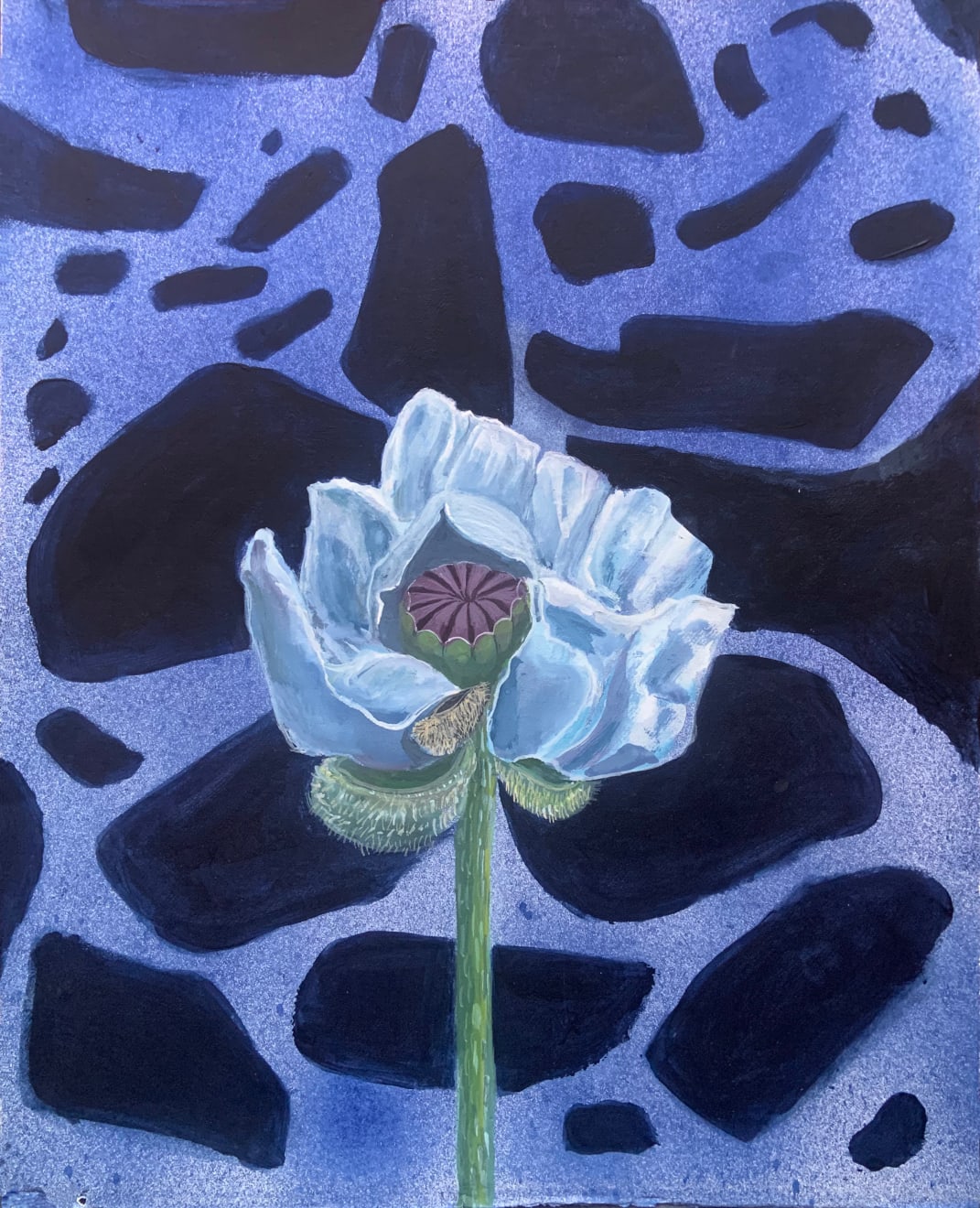 Nancy Diamond, Dusk Poppy, 2021