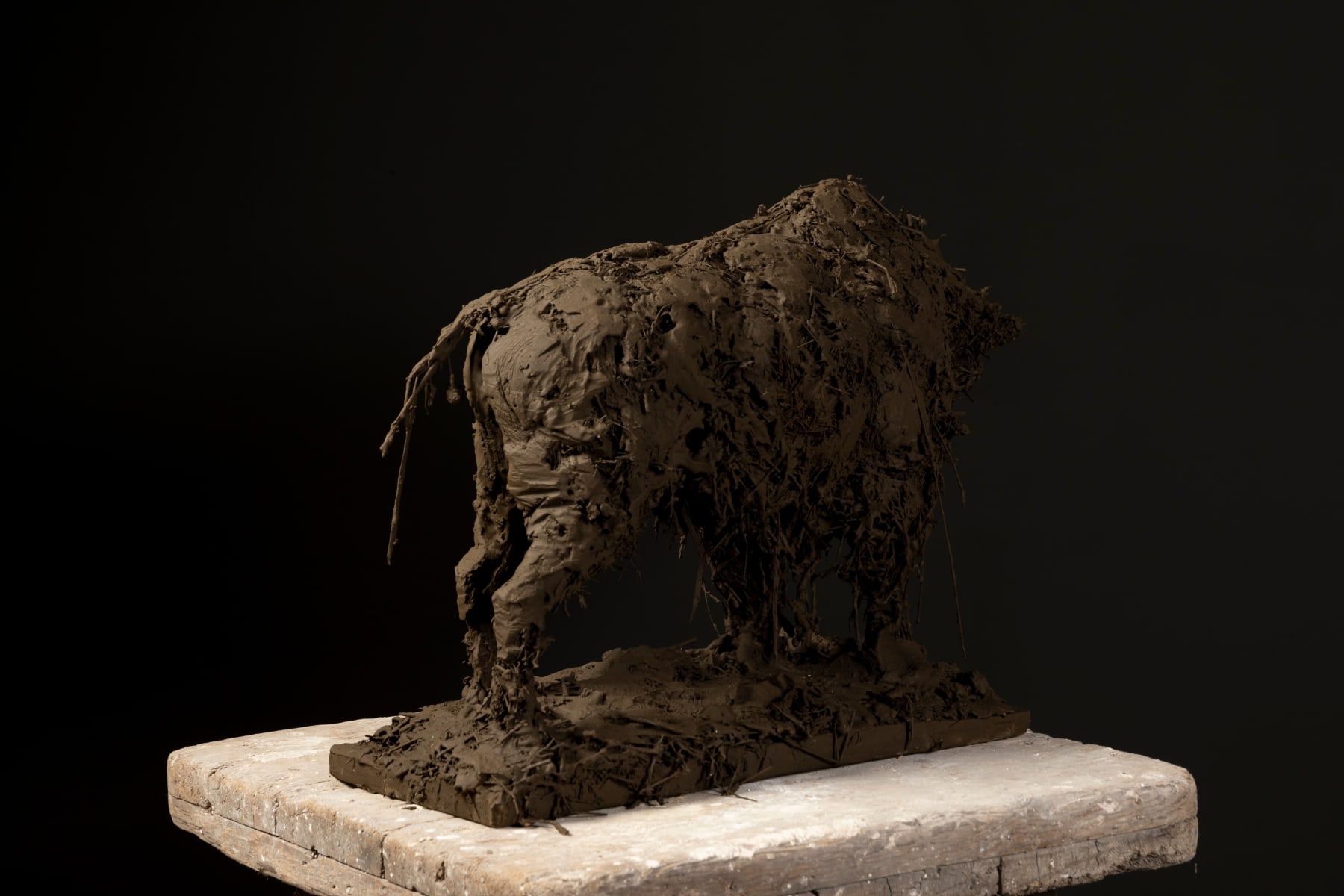 Nicola Hicks, Bison, 2023