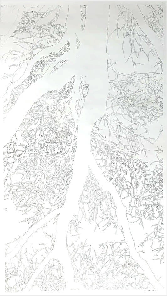 Jeffrey Blondes, 19-09D Bois de Mametz 17h52m54s, 2019