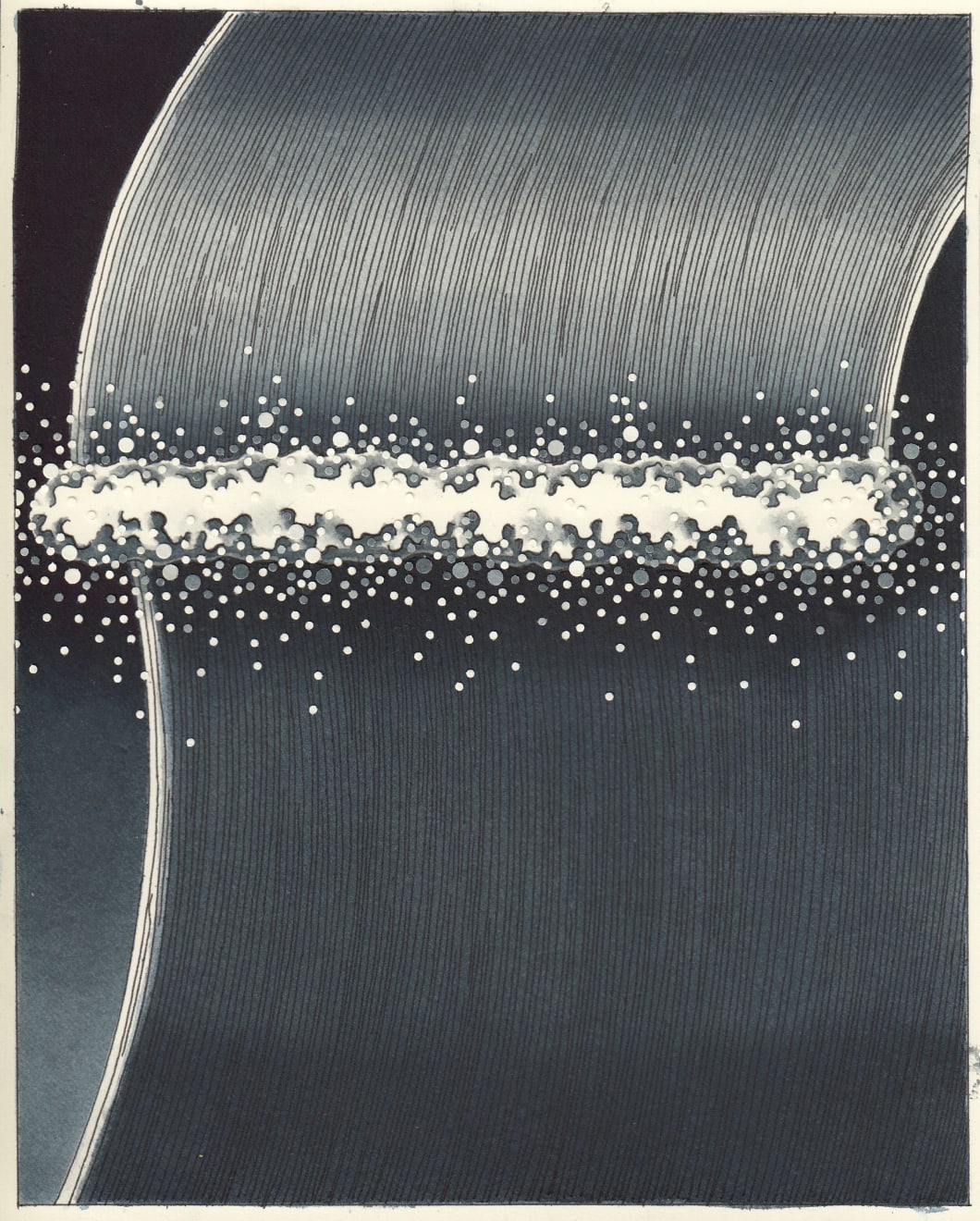 Matthew F Fisher, Basque (after Carmen Herrera), 2020