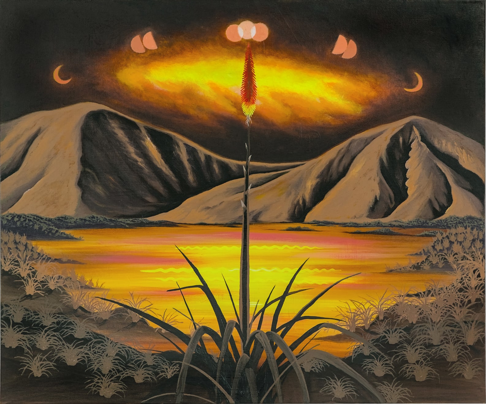 Jen Hitchings, Red Hot Poker, 2021