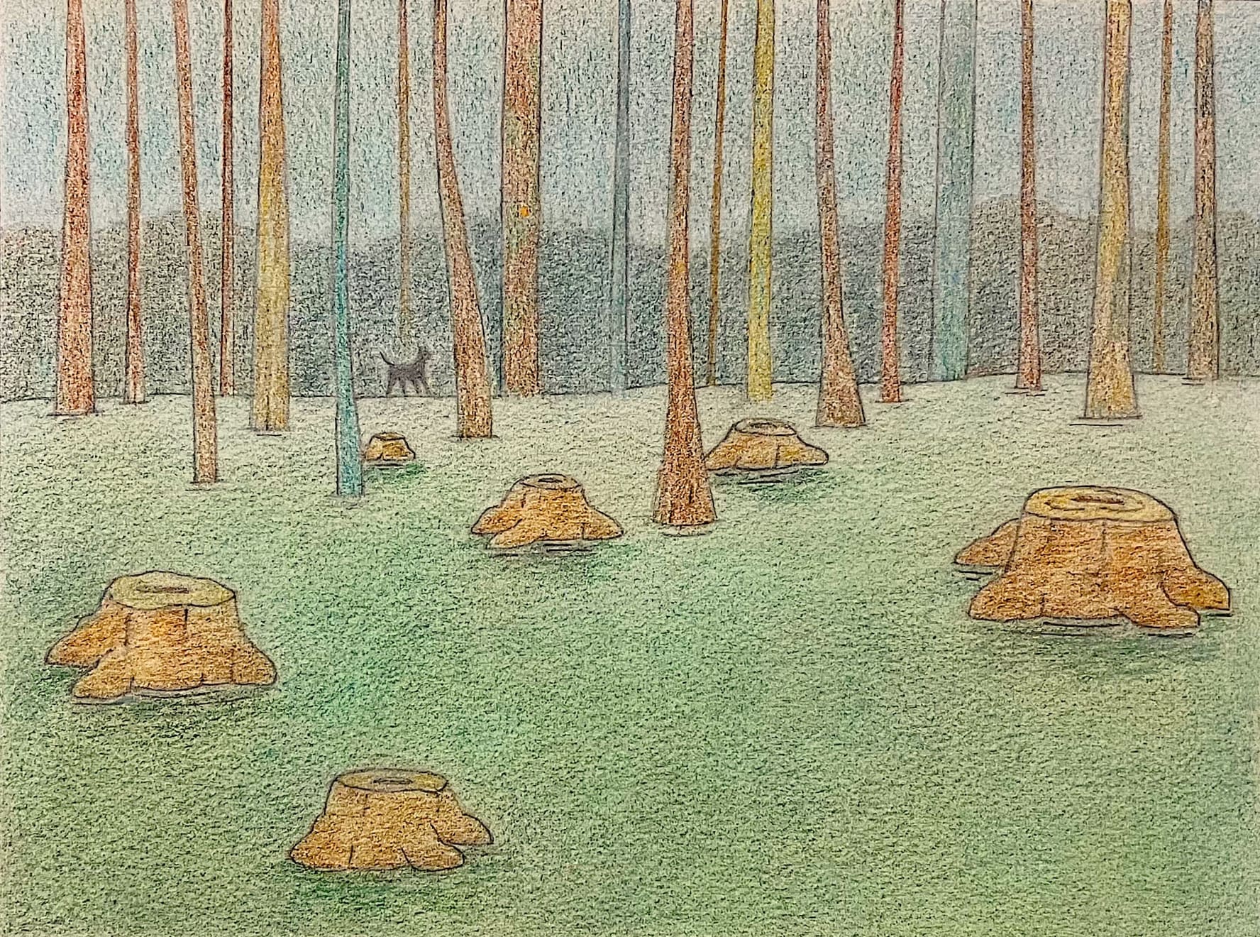 John Dilg, Tarantula, 2025