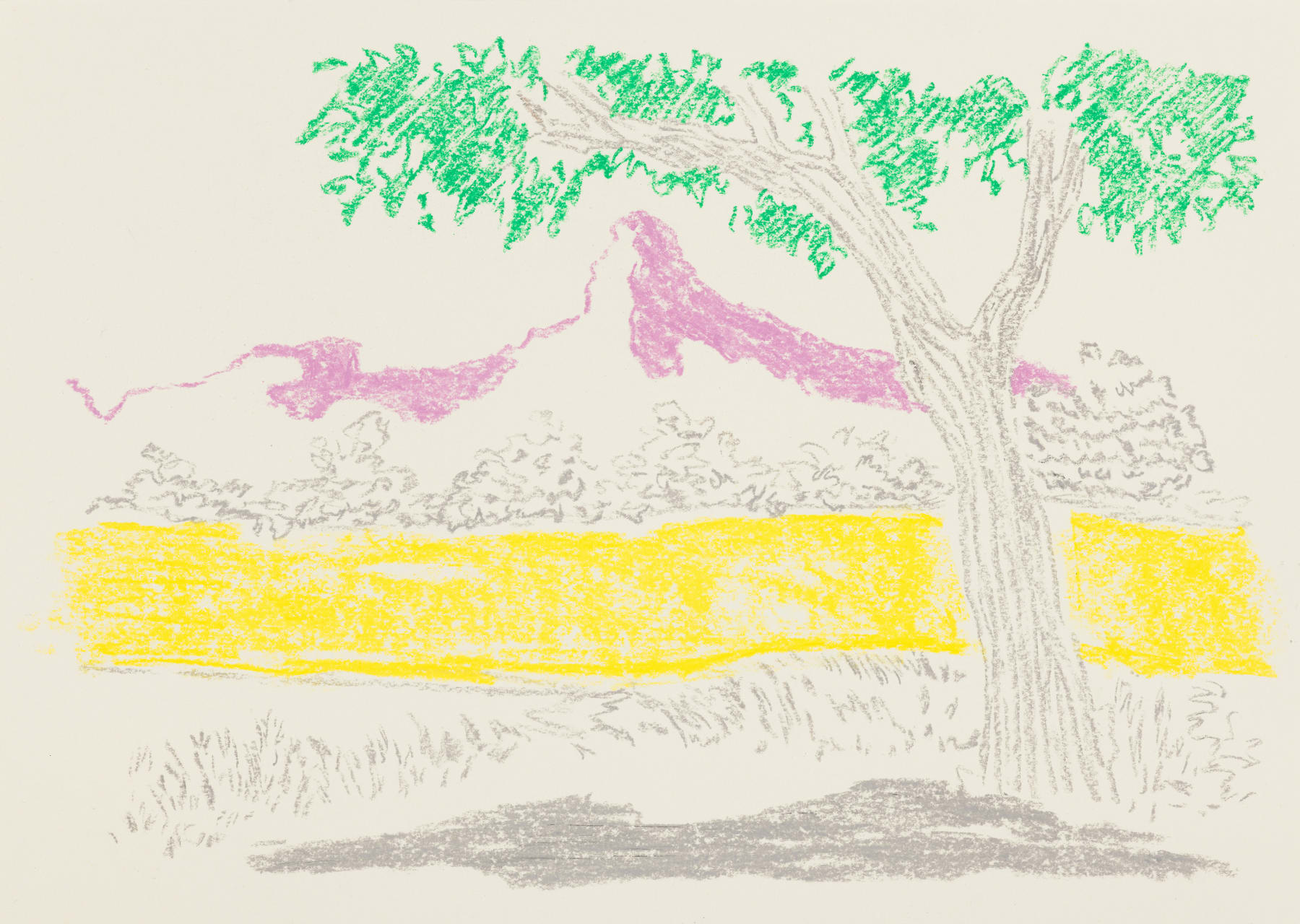 Cara Nahaul, Tamarin, 2021