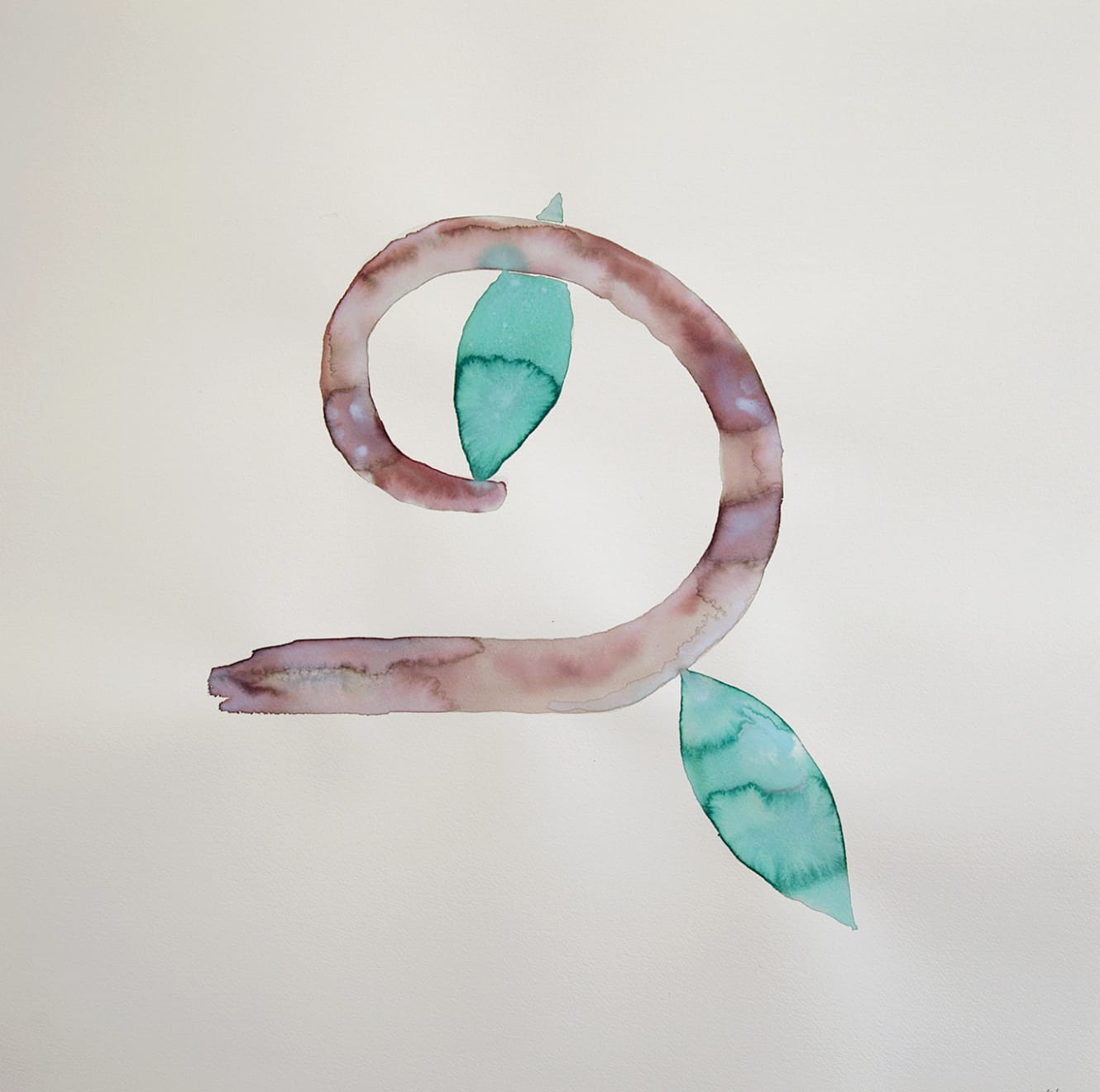 Nadia Ayari, Untitled (Spiral II), 2020