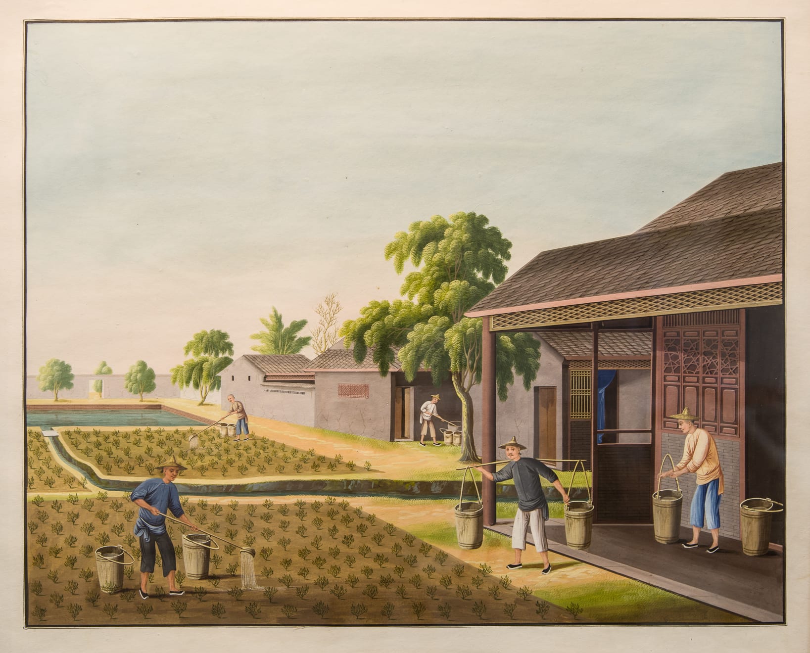 Coulborn antique gouache A Set of 12 Chinese Trade Pictures – depicting the growing, harvesting and processing of tea