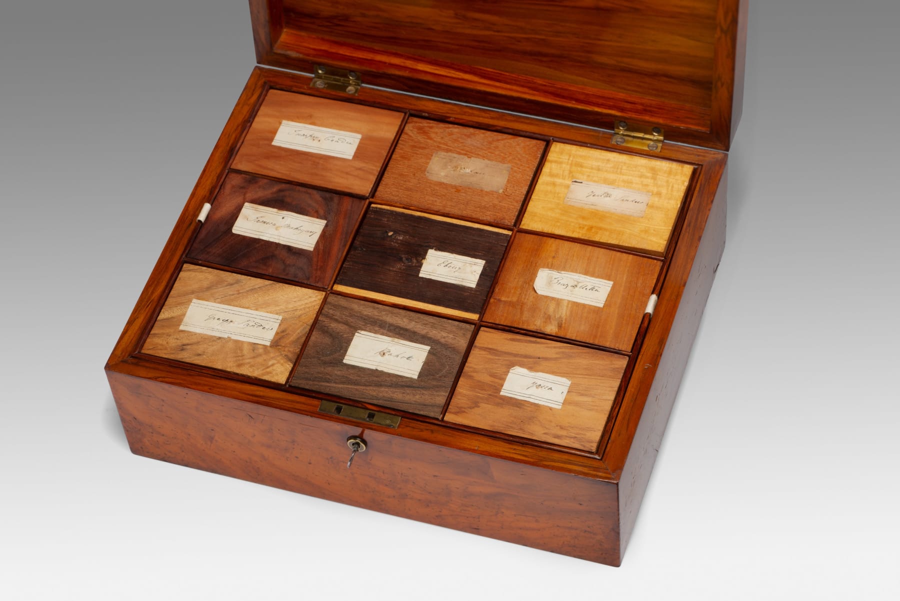 19th Century Jamaican Specimen Wood Box by Ralph Turnbull