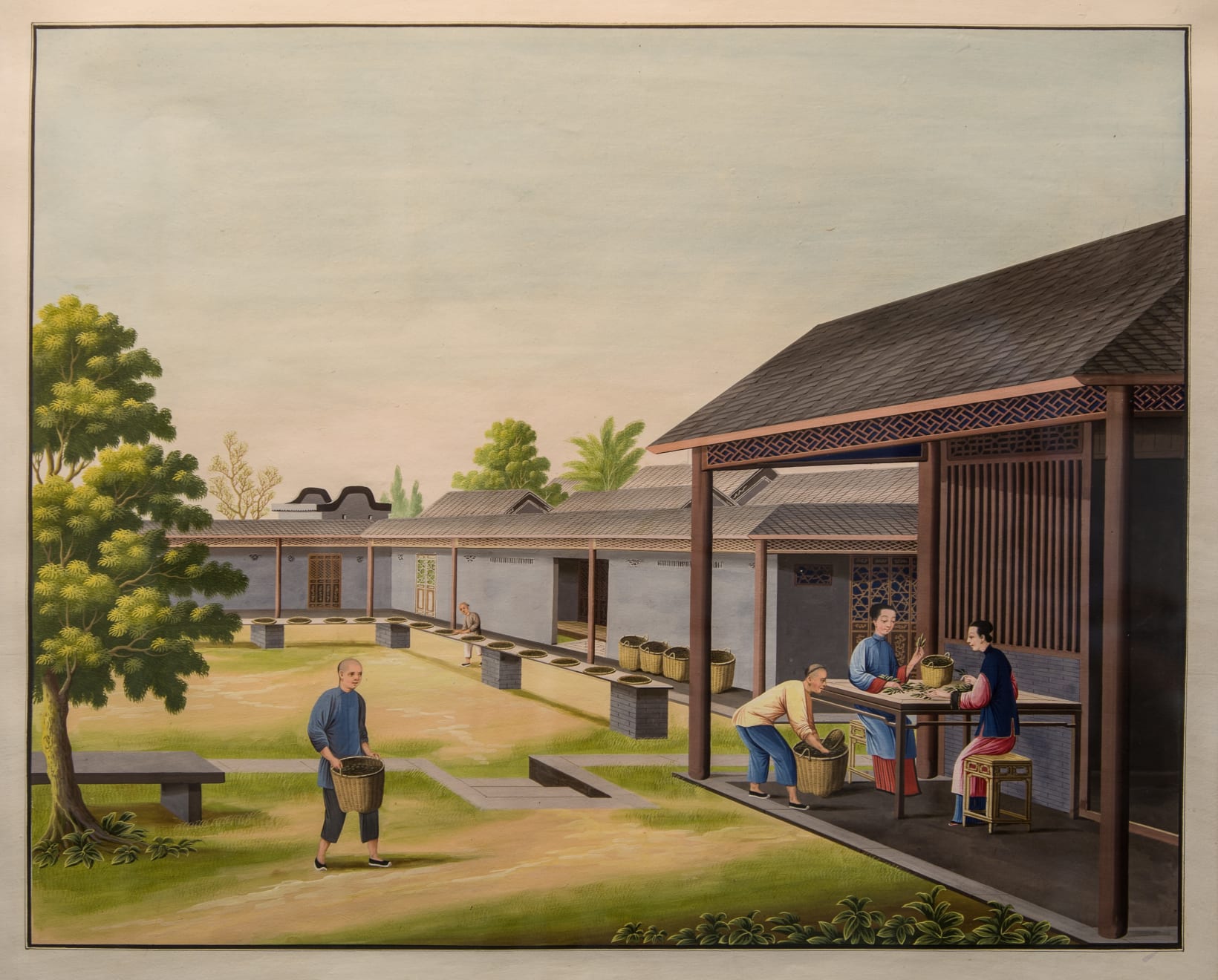 Coulborn antique gouache A Set of 12 Chinese Trade Pictures – depicting the growing, harvesting and processing of tea