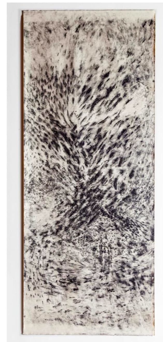 Elaine Arruda, Untitled, 2014